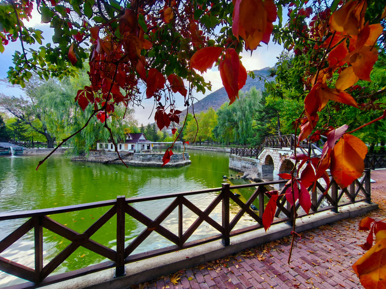Konya’nın cennet köşesi sonbahar renkleriyle büyülüyor 10
